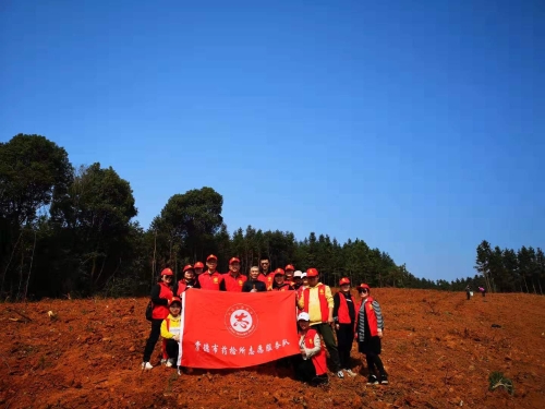 图为义务植树现场.jpg