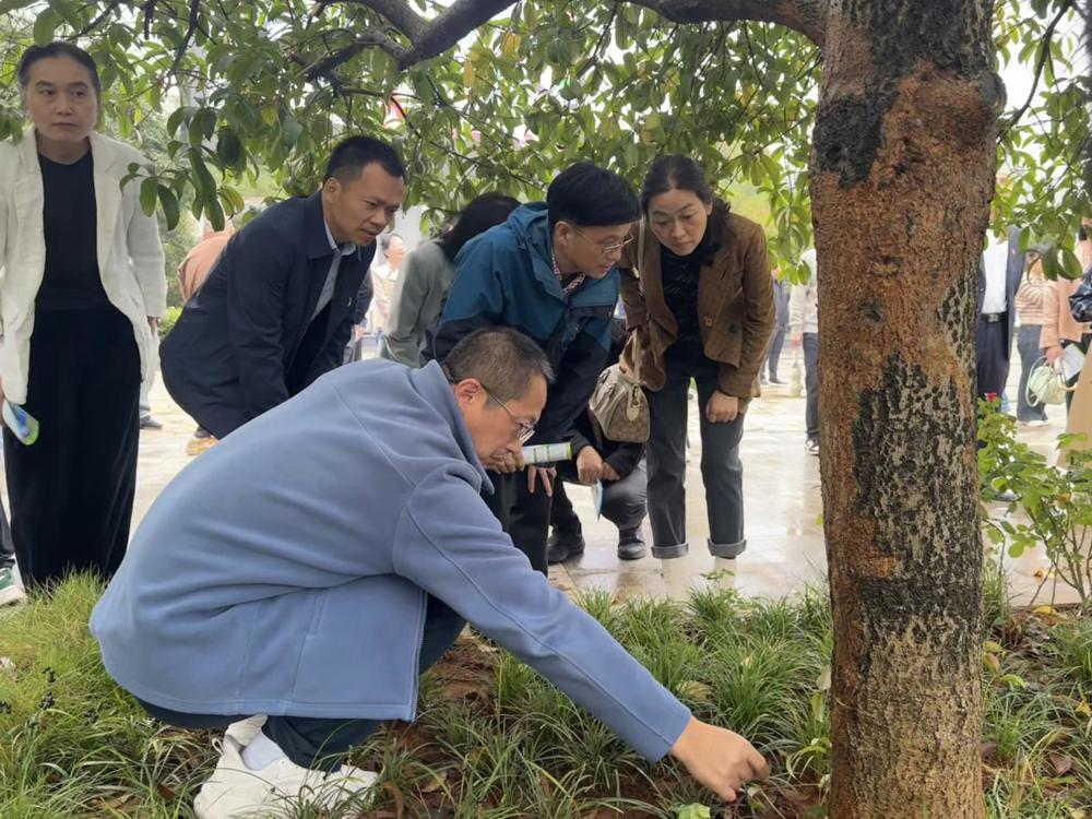 52088da765fd477865118581a1826cae