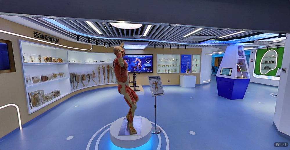 F:\10 生命科学与健康教育基地\2 科普基地建设情况管理与运行\相关照片\微信图片_20250416110027.png